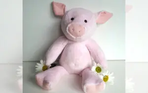Flossie Pig Kit