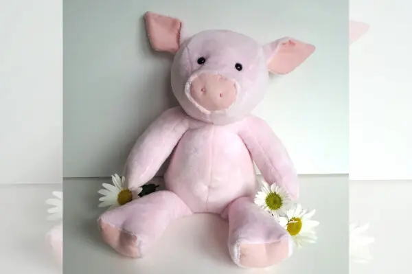 Flossie Pig Kit