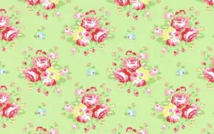 Janey by Tanya Whelan for Clothworks