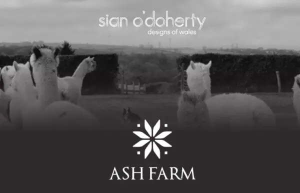 Dressmaking at Ash Farm, Pembrokeshire. - Image 13